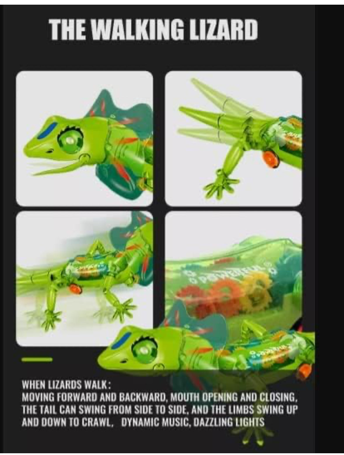 Remote control Battery Operated Toy Musical Light Up Animals Gear Lizard Learning Plastic - Rc lizard toy